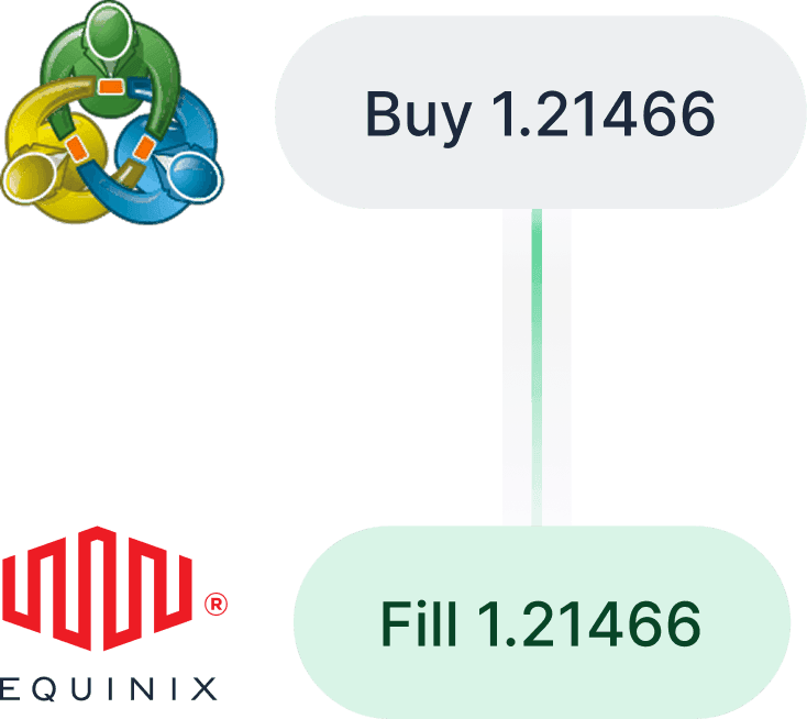 MT Equinox VPS Server